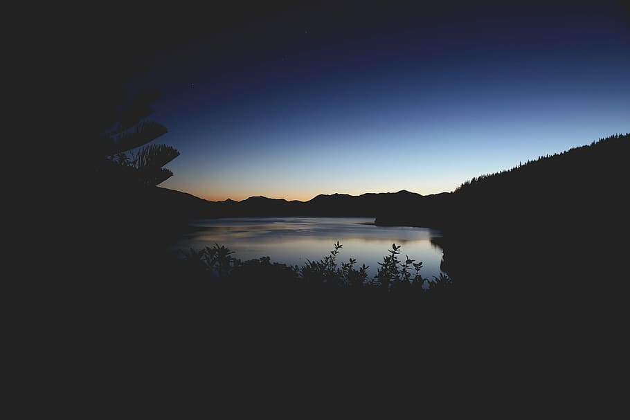 silhouette of plants near body of water near mountain, silhouette of mountains and body of water HD wallpaper