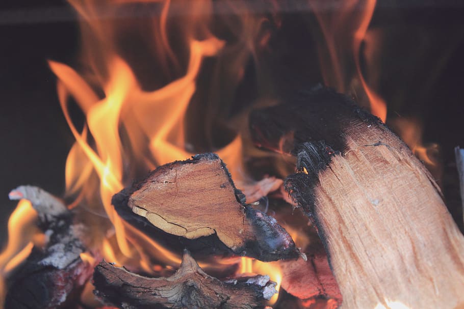 shallow focus photography of flame, burning woods, selective focus HD wallpaper
