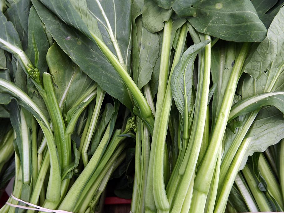 Roots, Lettuce, Vegetables, Ingredients, turnips, leeks, cooking HD wallpaper