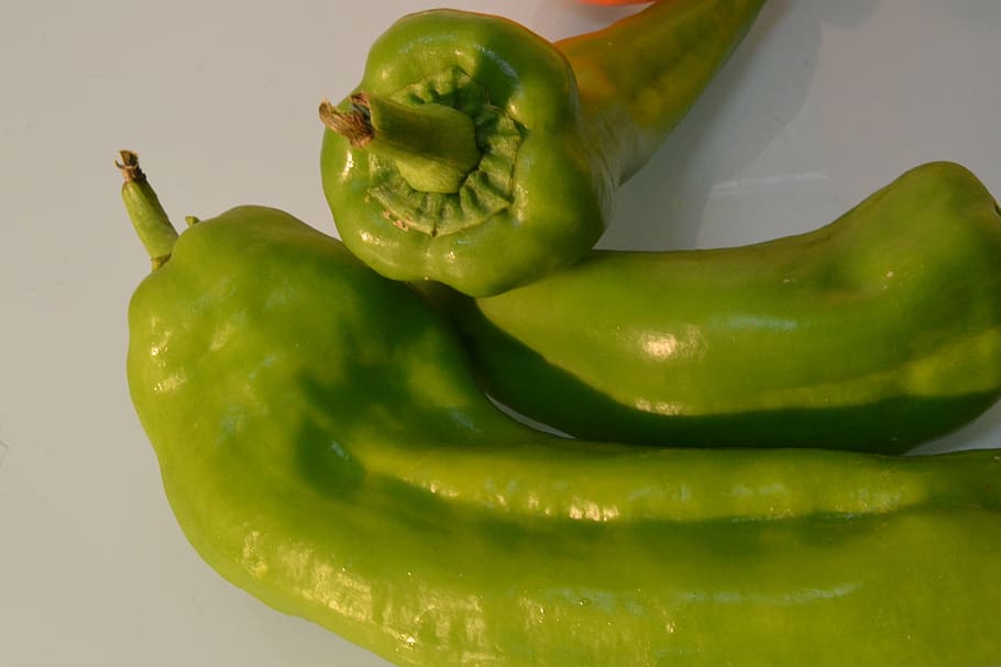 peppers, green, vegetable, food and drink, healthy eating, studio shot HD wallpaper