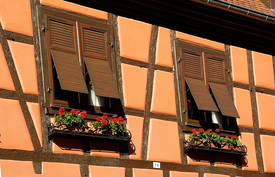 alsace, obernai, studs, facade, windows, architecture, potted plant HD wallpaper
