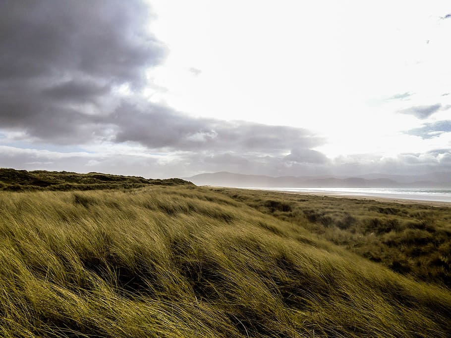 green grass field, meadow, ireland, clouds, landscape, dramatic HD wallpaper