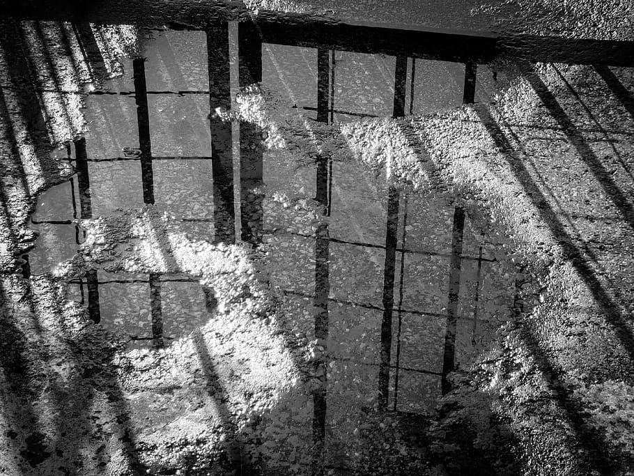 black and white, reflection, spooky, puddle, water, gates, concrete