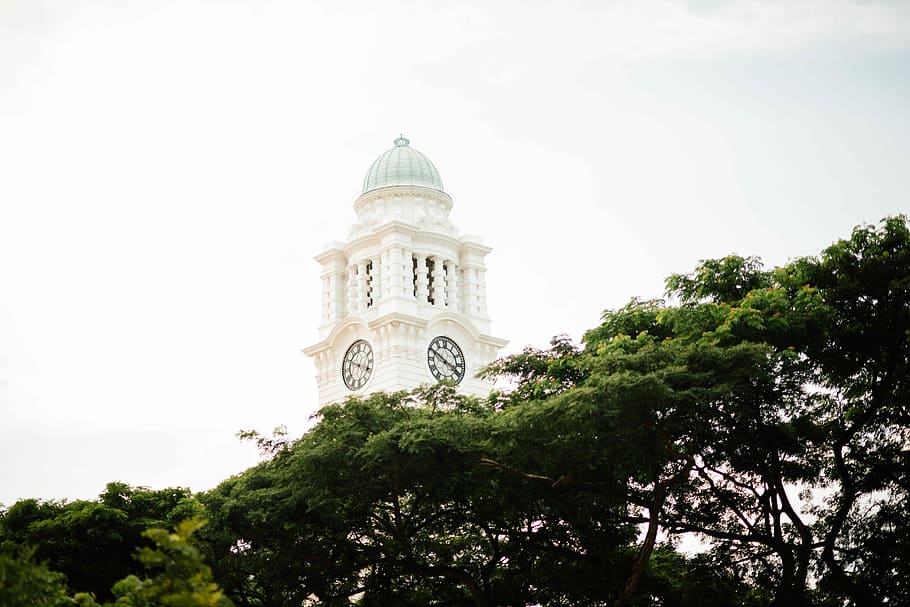 white concrete dome clock tower, green leafed trees near big ben HD wallpaper