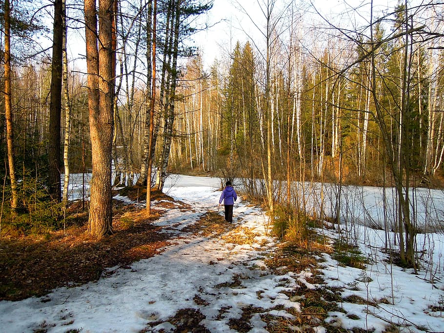 spring, beach, girl, man, finnish, landscape, nature, water HD wallpaper