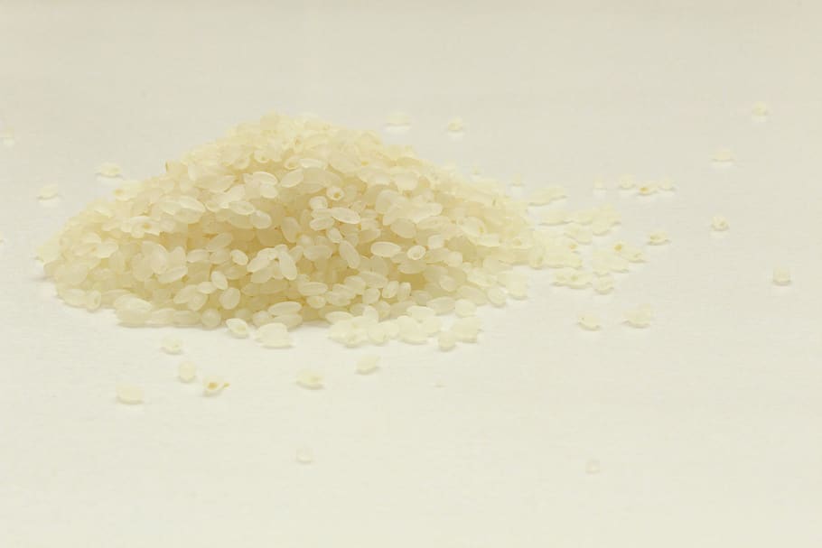 usd, rice, rice milling, rookie, koshihikari rice, studio shot, HD wallpaper