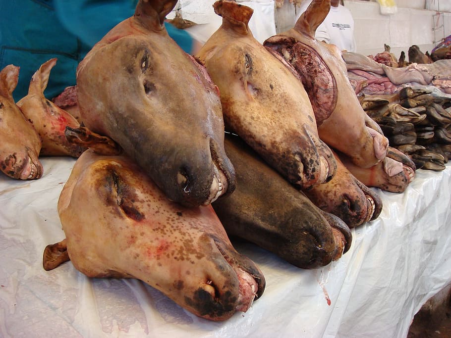 slaughter, head, market, beasts, animals, food and drink, freshness HD wallpaper