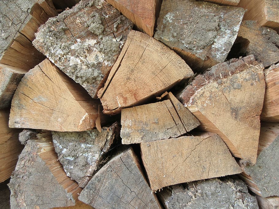 wood, texture, brown, pattern, timber, log, close-up, firewood HD wallpaper