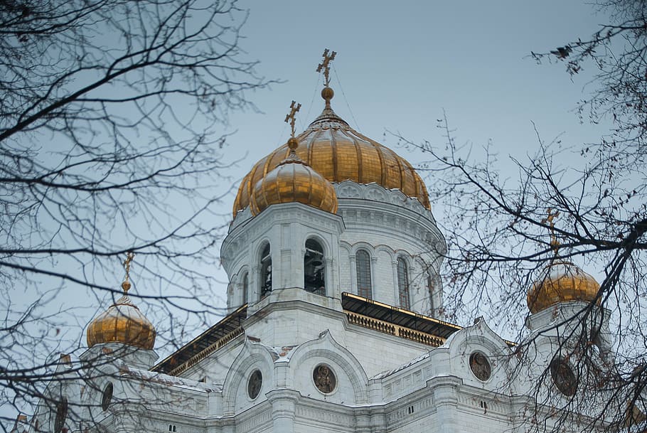moscow, cathedral, orthodox, cupolas, dome, bare tree, architecture HD wallpaper