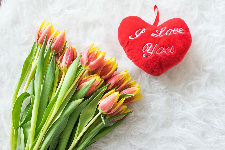 Kees Nelis Tulips With Plush I Love You Heart, cute, flowers, HD wallpaper