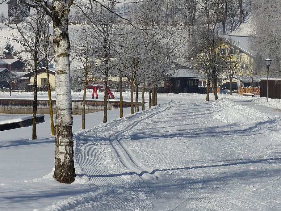 trail, prepared, trace, snow, cold, winter, wintry, nature HD wallpaper