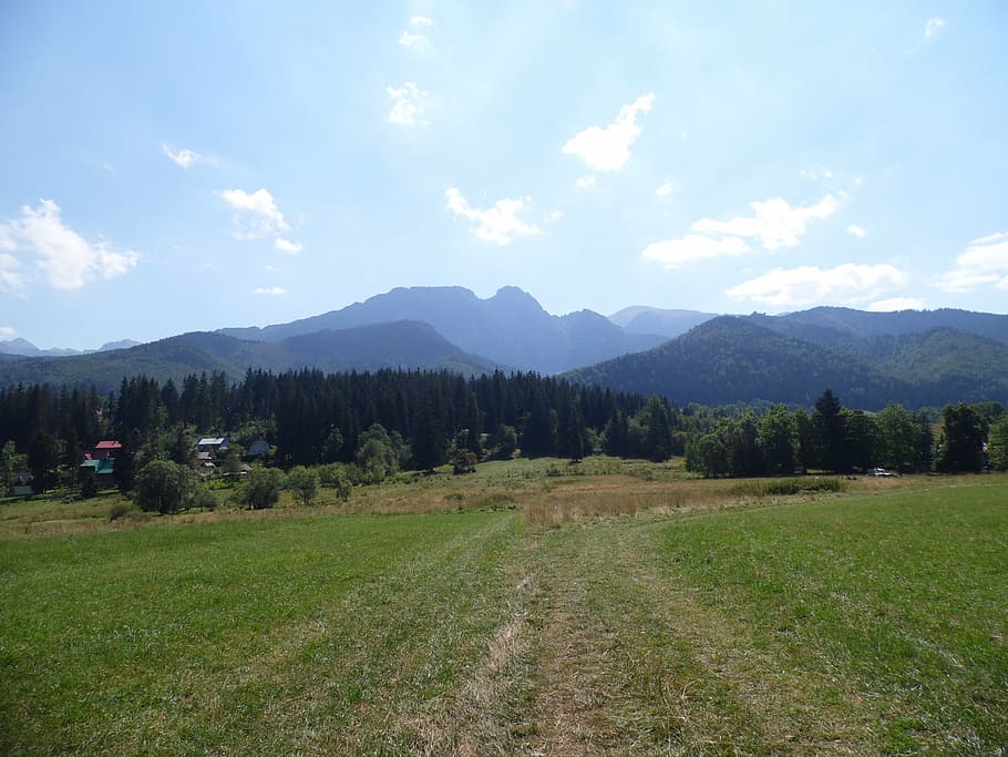 mountains, tree, landscape, view, summer, nature, blue, sky HD wallpaper