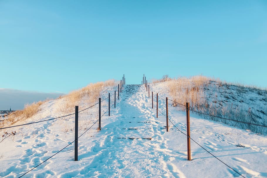 land covered with snow, snow field between handrails at daytime HD wallpaper