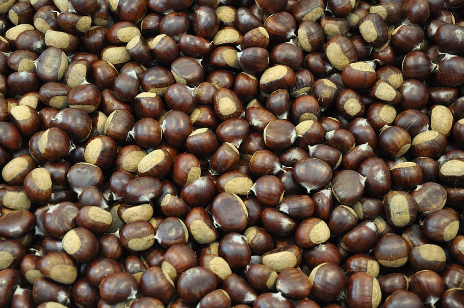 Marroni, Chestnut, food and drink, freshness, close-up, full frame HD wallpaper
