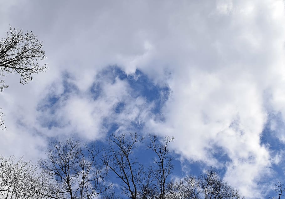 wispy clouds, blue sky, landscape, nature, cloudscape, tree HD wallpaper