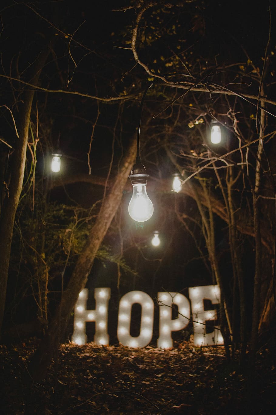hope marquee signage surrounded by trees, white hope marque light beside trees, HD wallpaper