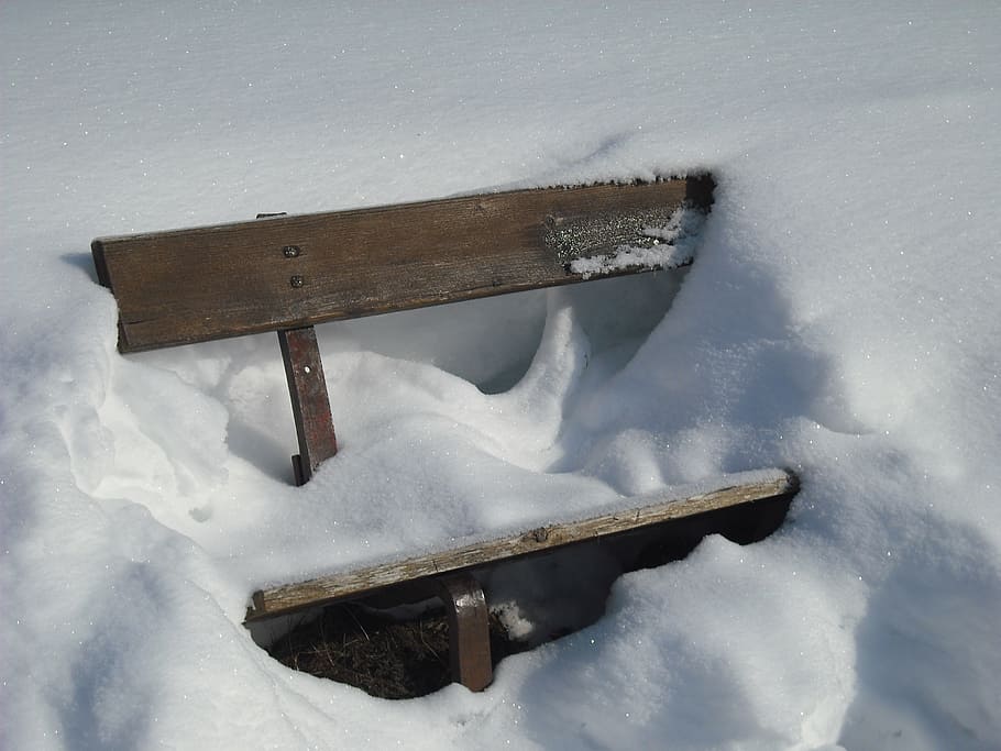 nature, bench, snow, winter, cold - Temperature, outdoors, weather HD wallpaper