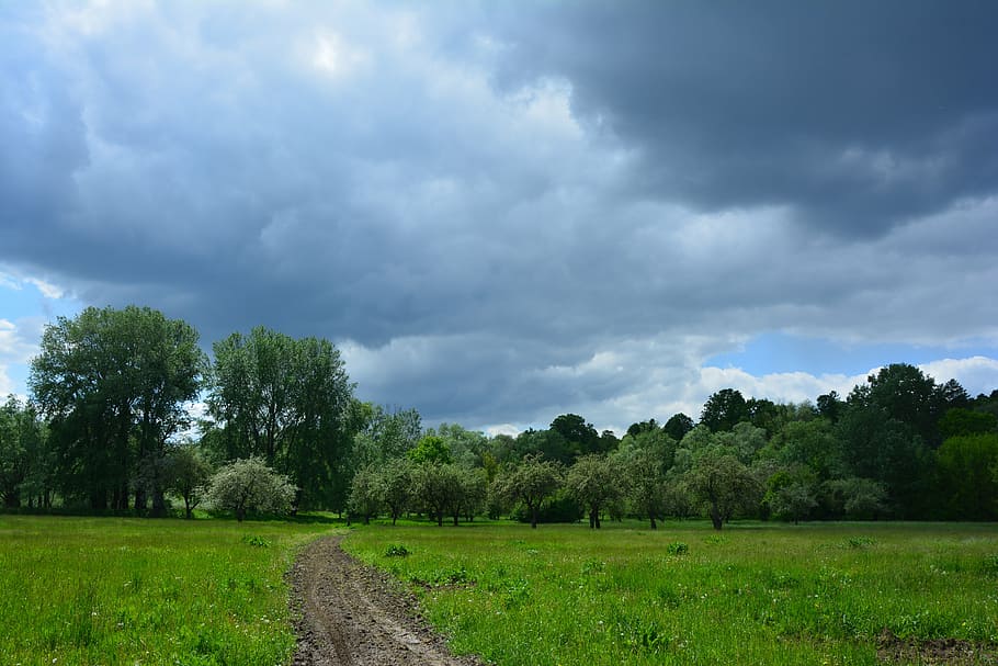 clouds, way, spacer, spring, landscape, view, tree, hiking HD wallpaper
