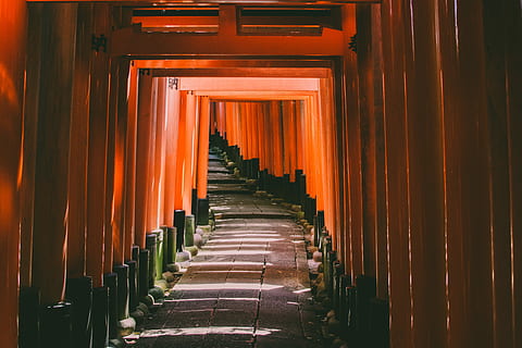 Kyoto Japan tori gate path leading to temple, brown wooden pathway under red posts HD wallpaper