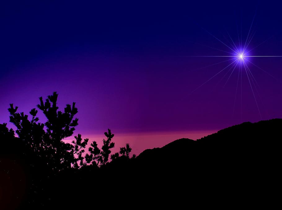 HD wallpaper: silhouette photo of trees under purple shining star, sky,  mountain | Wallpaper Flare