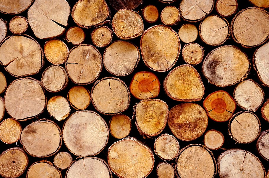 pile of cut log, wood, logs, lumber, timber, lumber industry HD wallpaper