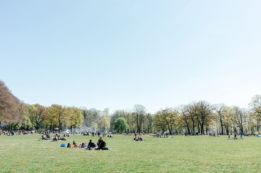 Warm day in the park, landscape, lifestyle, nature, outdoors HD wallpaper
