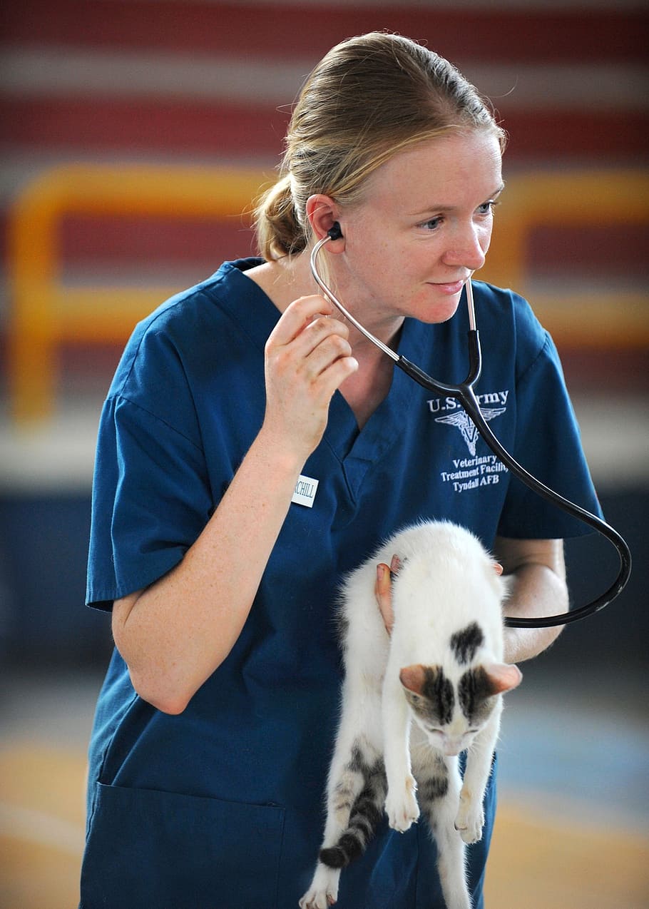woman wearing blue US Army scrub shirt holding white cat and wearing stethoscope
