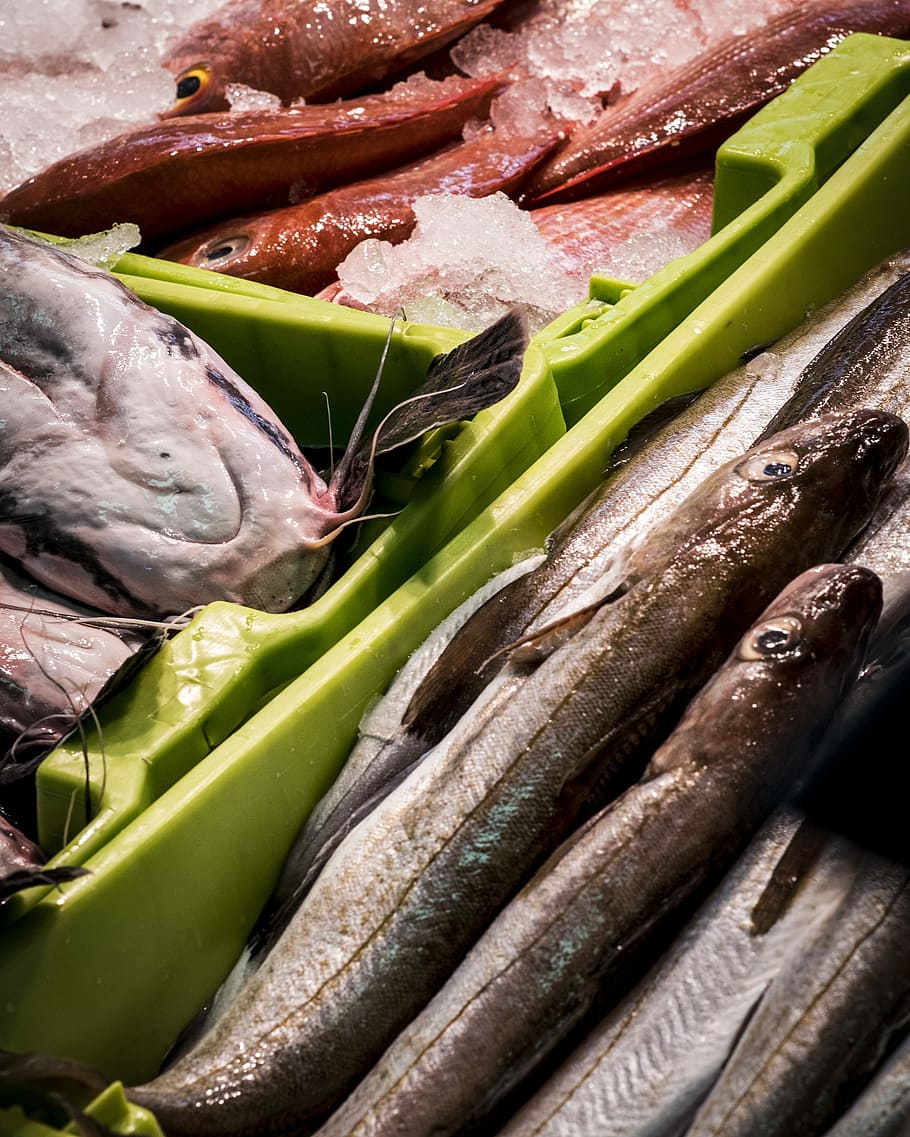 Fish, Market, vegetable, food and drink, freshness, organic HD wallpaper