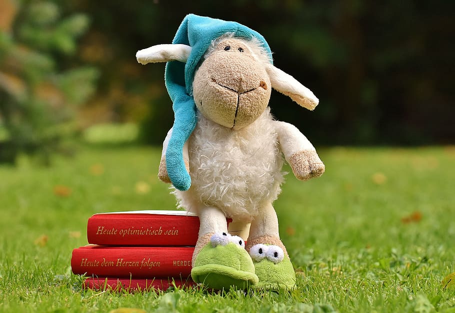 shallow depth of field photo of brown sheep plush toy sitting on red books HD wallpaper