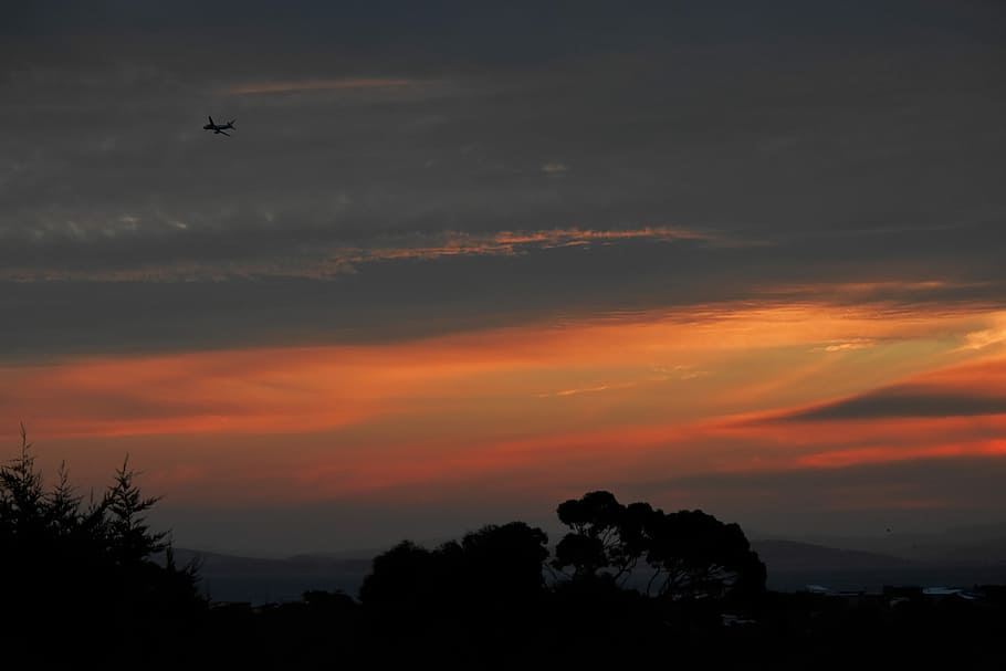 plane, sunset, airplane, fly, sky, nature, bright, summer, outdoor HD wallpaper