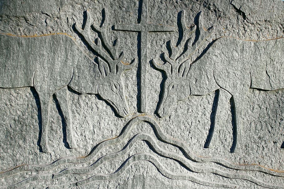relief, stone, symbol, nature, wild, hirsch, antler, water HD wallpaper