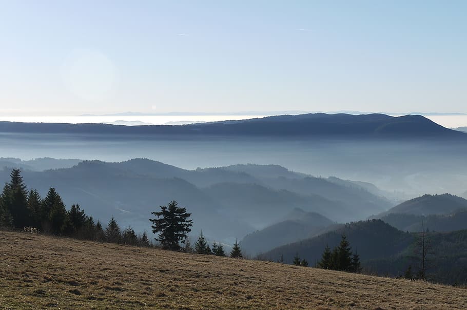 mountains, clouds, black forest, fog, landscape, nature, scenics HD wallpaper