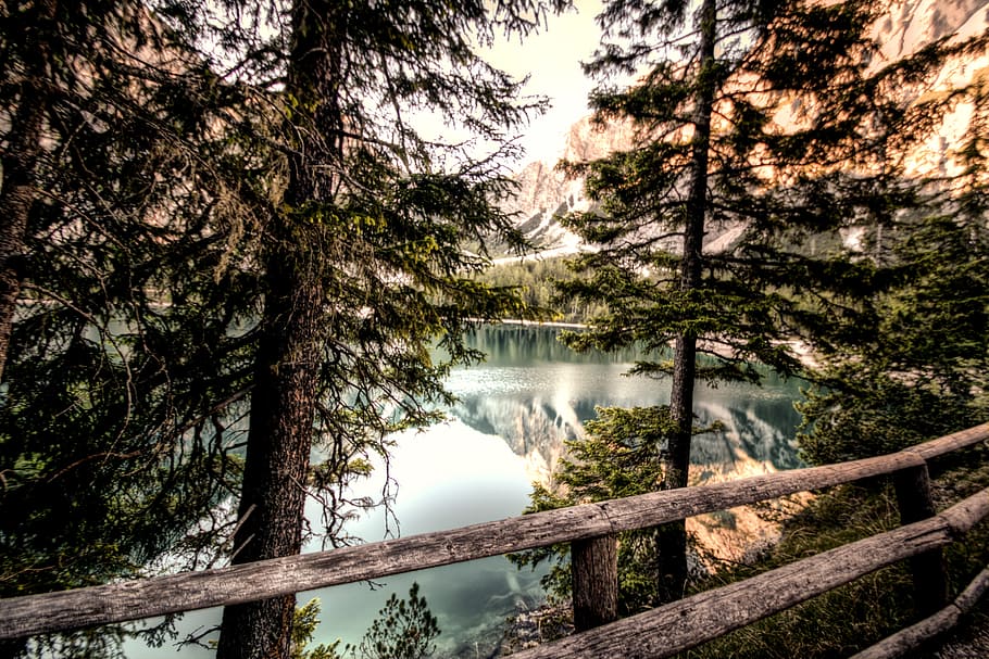 landscape, nature, water, forest, daylight, environment, lake HD wallpaper