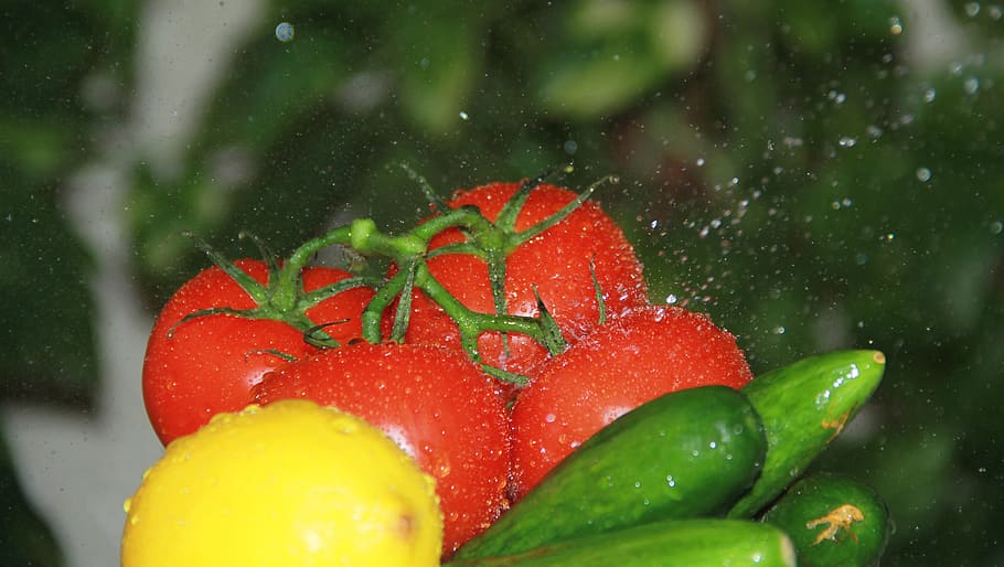 fresh, cucumber, tomato, red, food and drink, healthy eating HD wallpaper