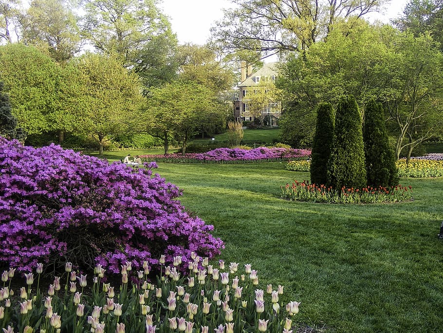 Sherwood Gardens in Baltimore, Maryland, flowers, photo, landscape, HD wallpaper
