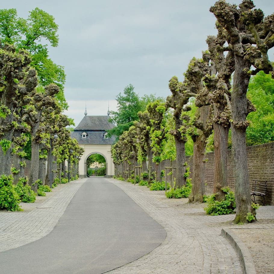 Avenue, Tree, Gatehouse, tree lined avenue, passage, away, trees HD wallpaper