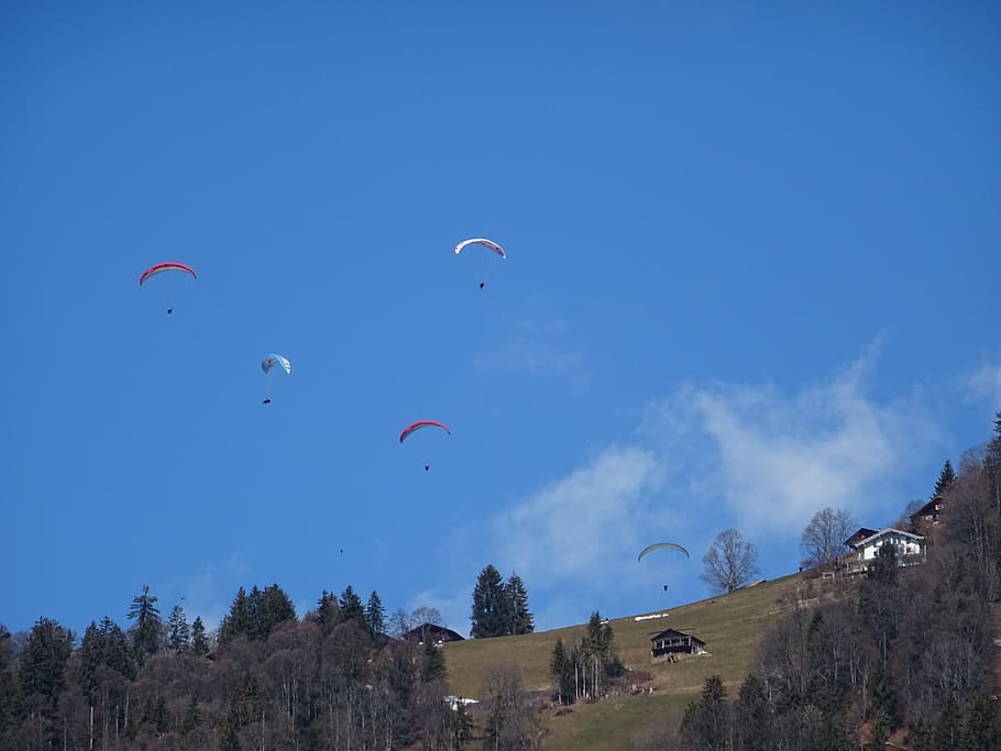 Paraglider, Paragliding, Fly, Float, sky, sporty, mood, mountains HD wallpaper