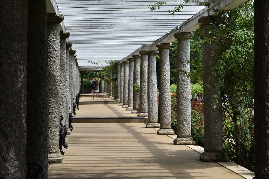 columns, walkway, pathway, pillars, sunny, structure, architecture HD wallpaper