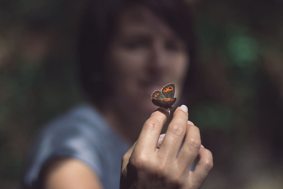 butterfly, hand, insect, wing, nature, close, finger nail, child's hand HD wallpaper