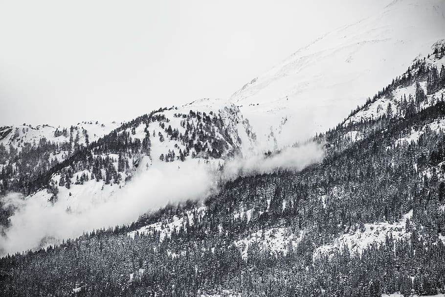 grayscale photo of snow capped mountain with avalanche, trees HD wallpaper