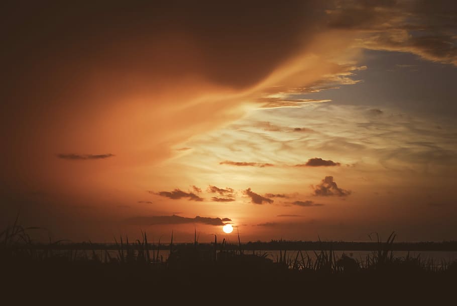 silhouette of grass at golden hour, sunset view on body of water HD wallpaper