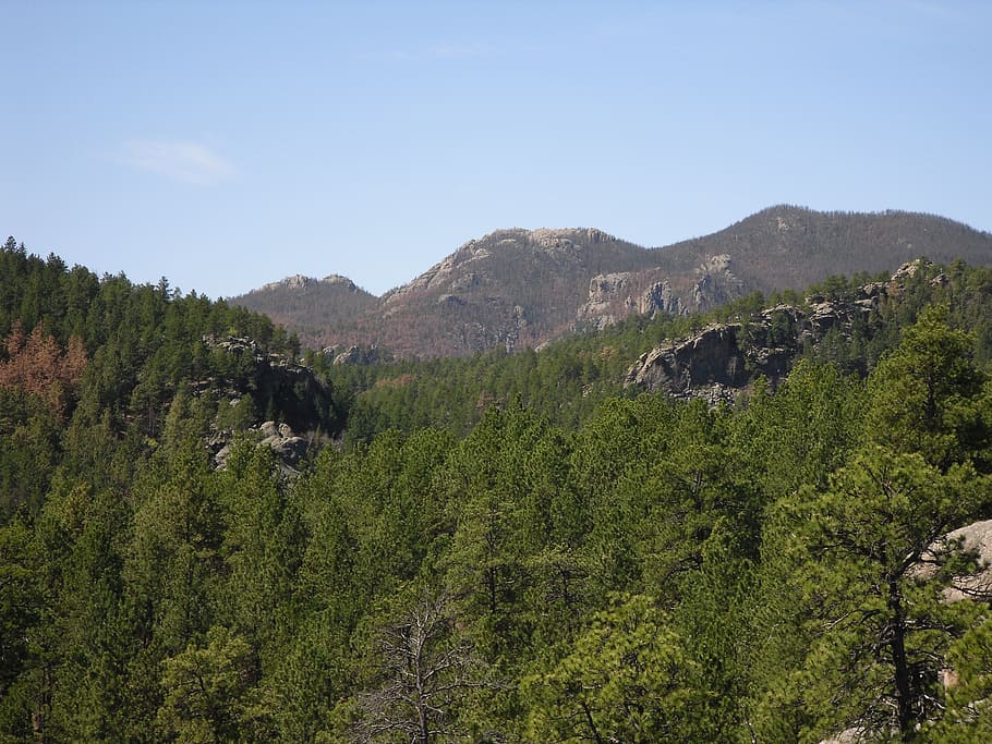backpacking, black elk wilderness, black hills, south dakota, HD wallpaper