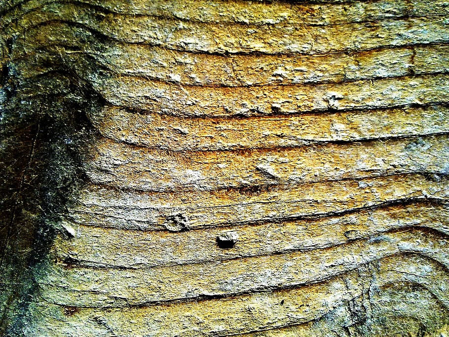Wood, Grain, Grain, Structure, Color, blue, nature, light blue HD wallpaper