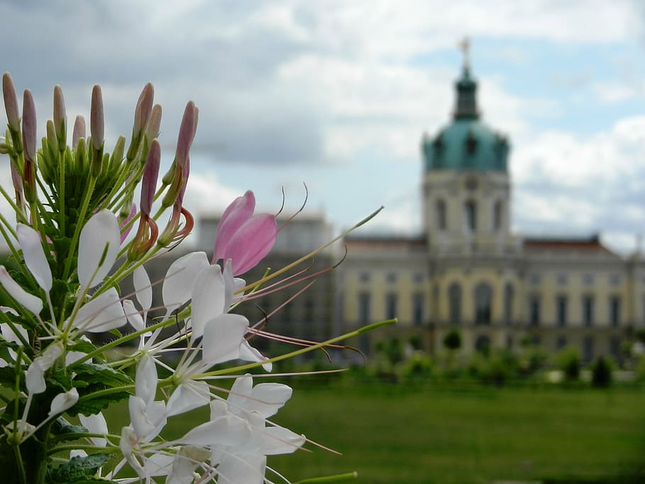 castle, the palace, sky, monument, charlottenburg, tourism HD wallpaper