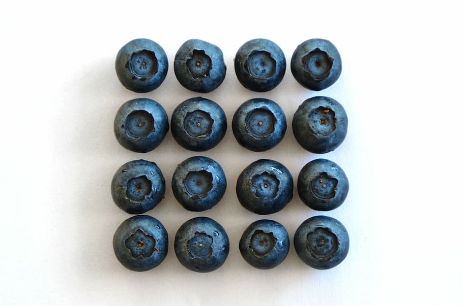 sixteen blueberries, blue berries, rhythm, repetition, fruit, HD wallpaper