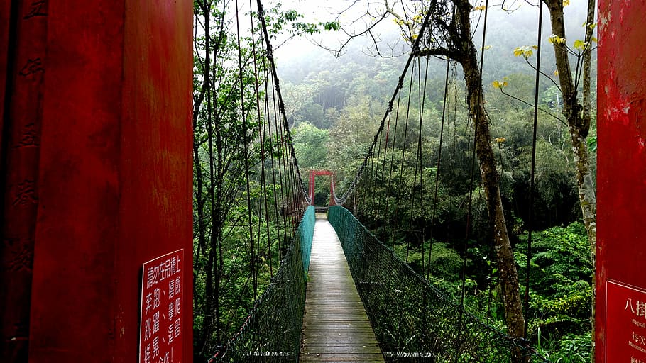 drawbridge, landscape, taiwan, tree, the way forward, direction HD wallpaper