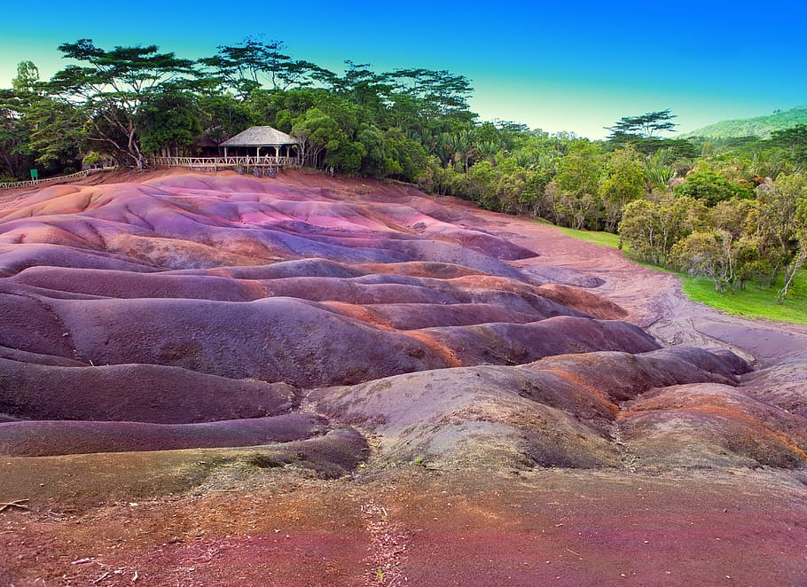 color, sands, chamarel, mauritius, nature, landscape, tree, HD wallpaper