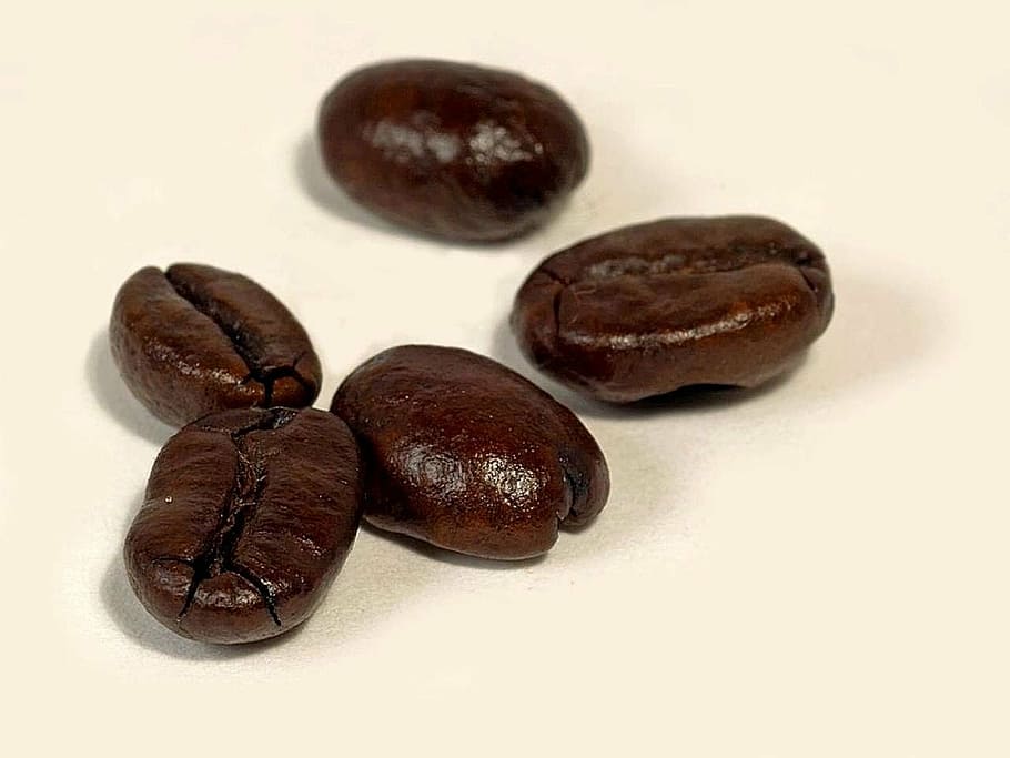 background, white, coffee, roasted, dark, food, white background HD wallpaper