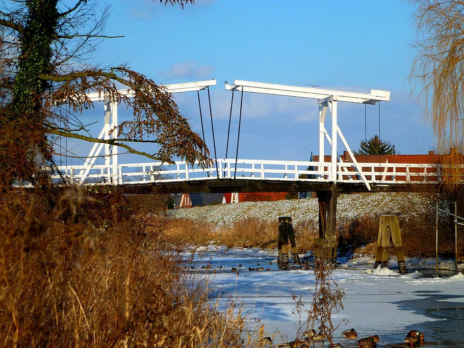 bridge, germany, river, nature, wooden bridge, building, architecture HD wallpaper