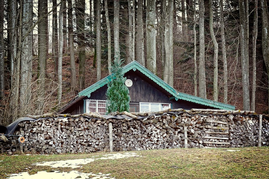 hut, forest, vacation, nature, log cabin, wood, old, home, mountain hut HD wallpaper